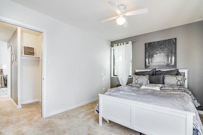 Photo - Meadowbrook Run