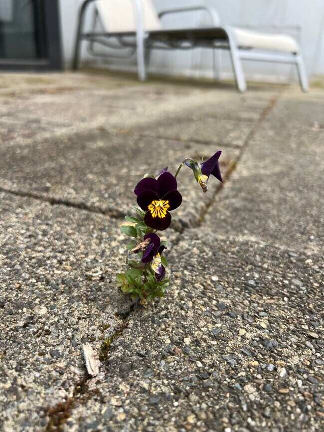 Photo - 1030 NW 12th Ave Unit 524