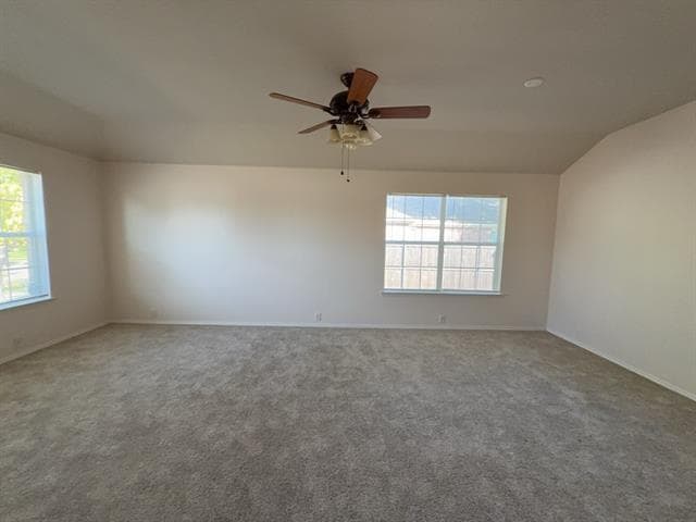 Photo - 3003 Elderberry Dr