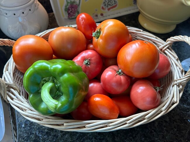 Veggie Bounty - 220 W Harris Ave Unit First Floor