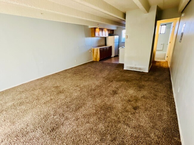 Photo - Studio Apartment in Denver - Ground Level - Move in Ready! Unit B2