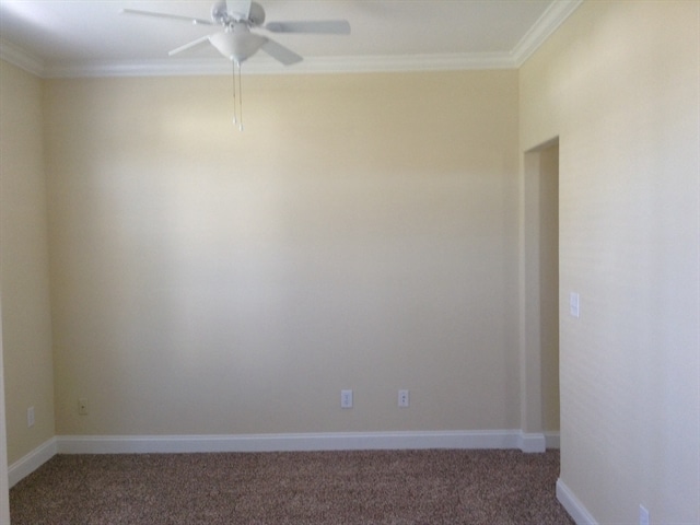 Photo - 440 Tortoise Ln