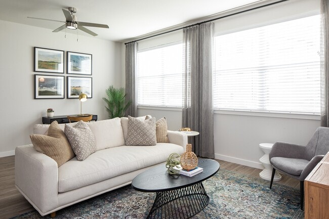 Franz-35 - The Standard at Franz