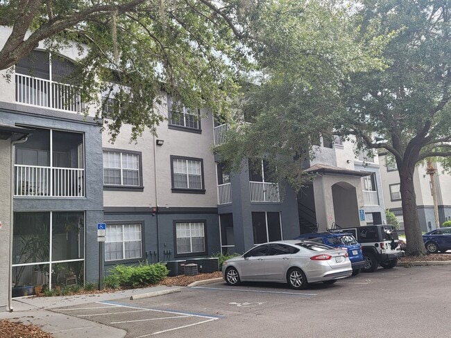 Building Photo - The Preserve at Temple Terrace