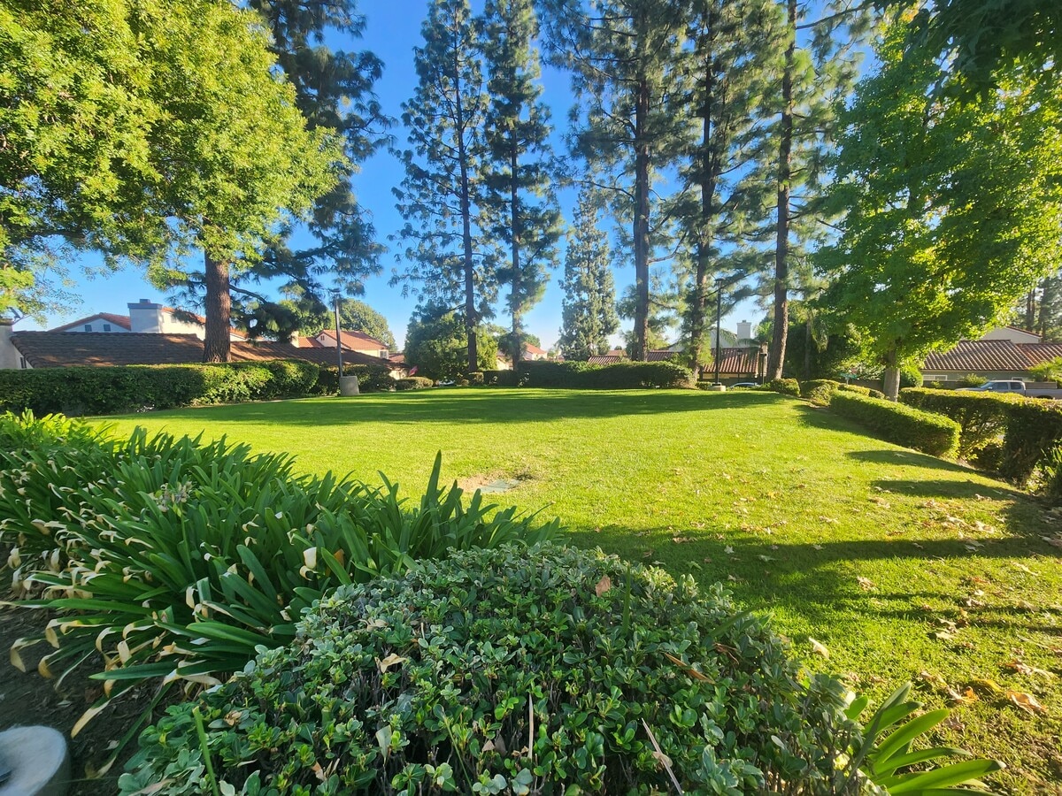 Photo - 9742 Willow Wood Dr