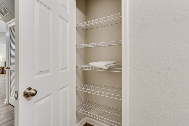 Spacious Closets - Somerset at Trussville