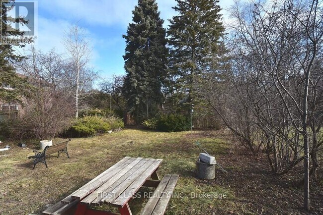 319 Senlac Rd