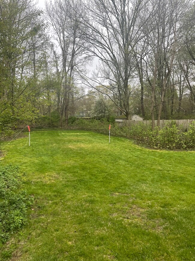 Large Yard - 74 Forest St Unit 74 Forest Street #1