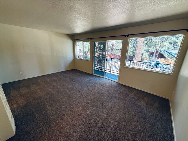 Photo - Pet friendly 1 bed apartment in South Lake Tahoe Unit 14