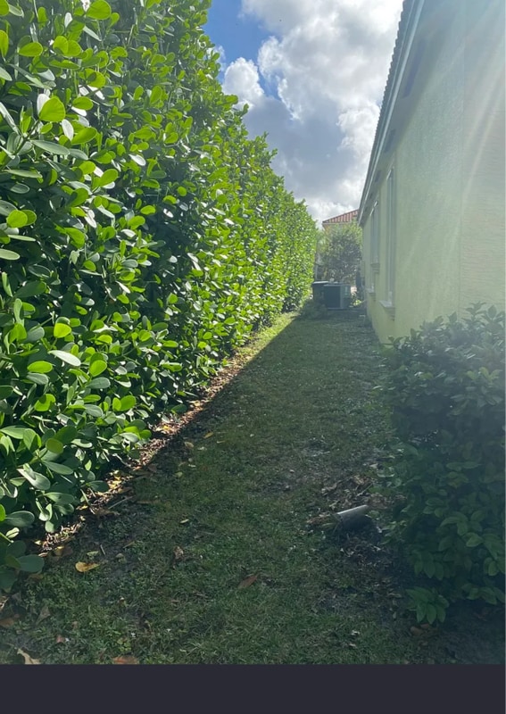 Photo - 3109 Payson Way