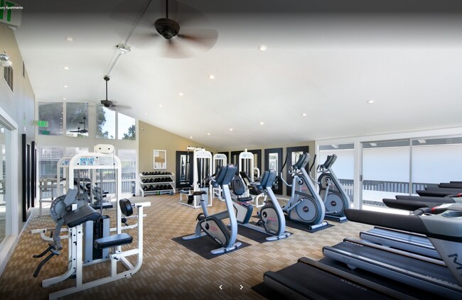 Full gym facilities