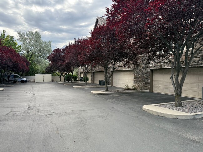 Photo - 1361 Mossy Springs Ln
