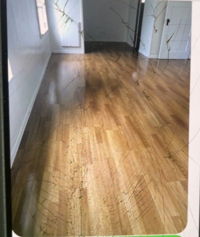 Photo - 372 Monte Brady Rd