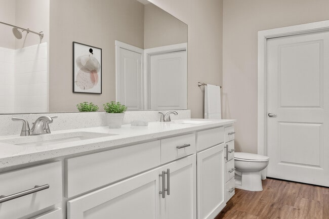 Premium Upgrade Home - Bathroom