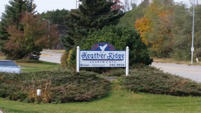 Photo - 3321 Echo Dells Ave Unit 3321