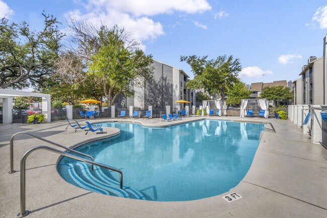 Photo - Stassney at SoCo