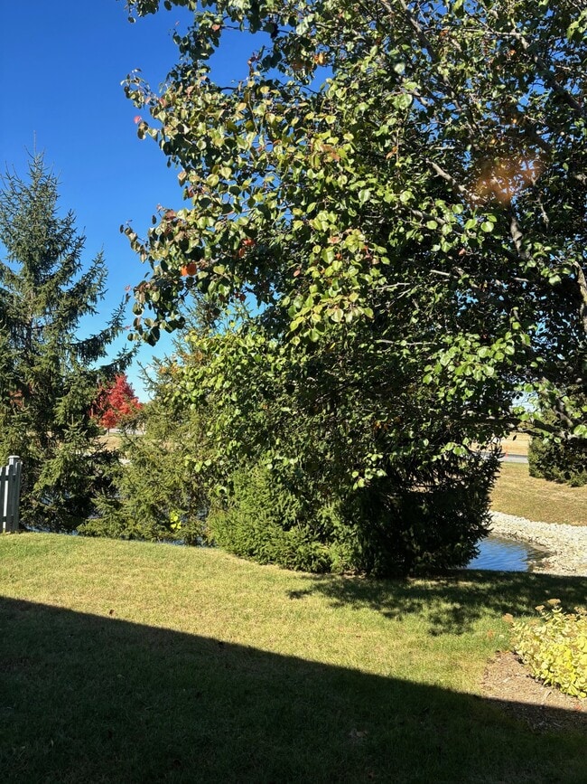 Photo - 11266 Black Gold Dr