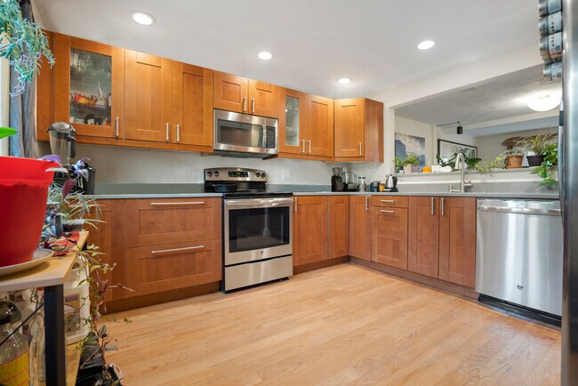 55 Waterhouse St
