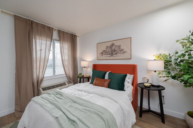 Photo - The Theodore