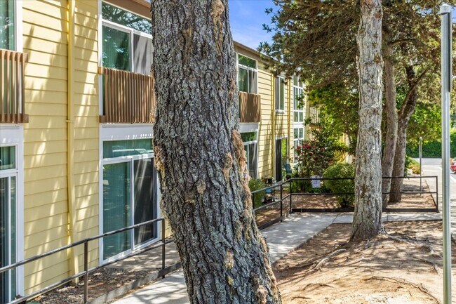 Photo - Pinewood Manor