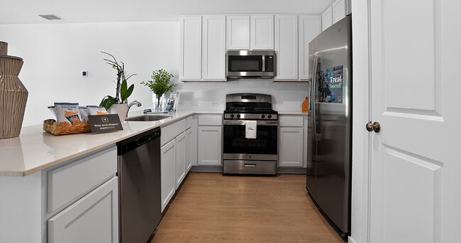 Axis at Veranda Rental Homes