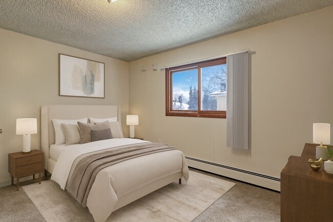 Photo - Conifer Grove