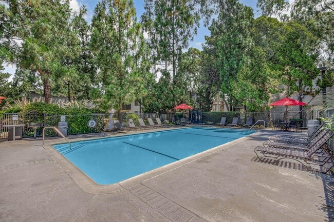 Photo - Cherry Creek Apartments
