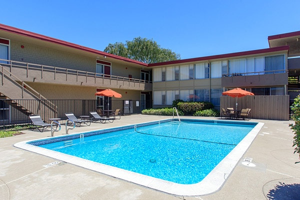 Refreshing Swimming Pool