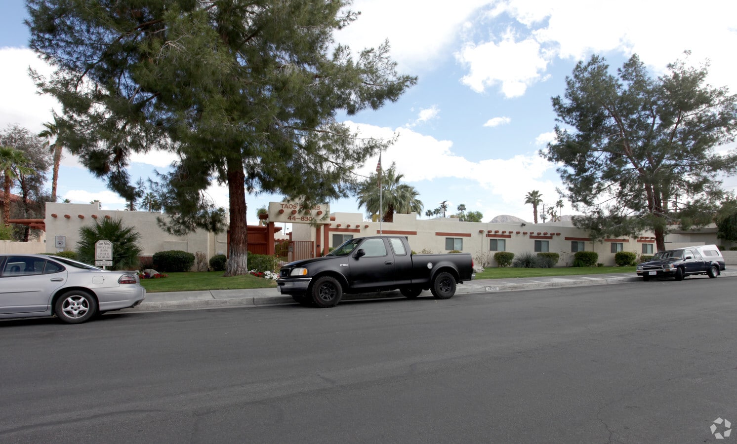 Photo - Taos Palms