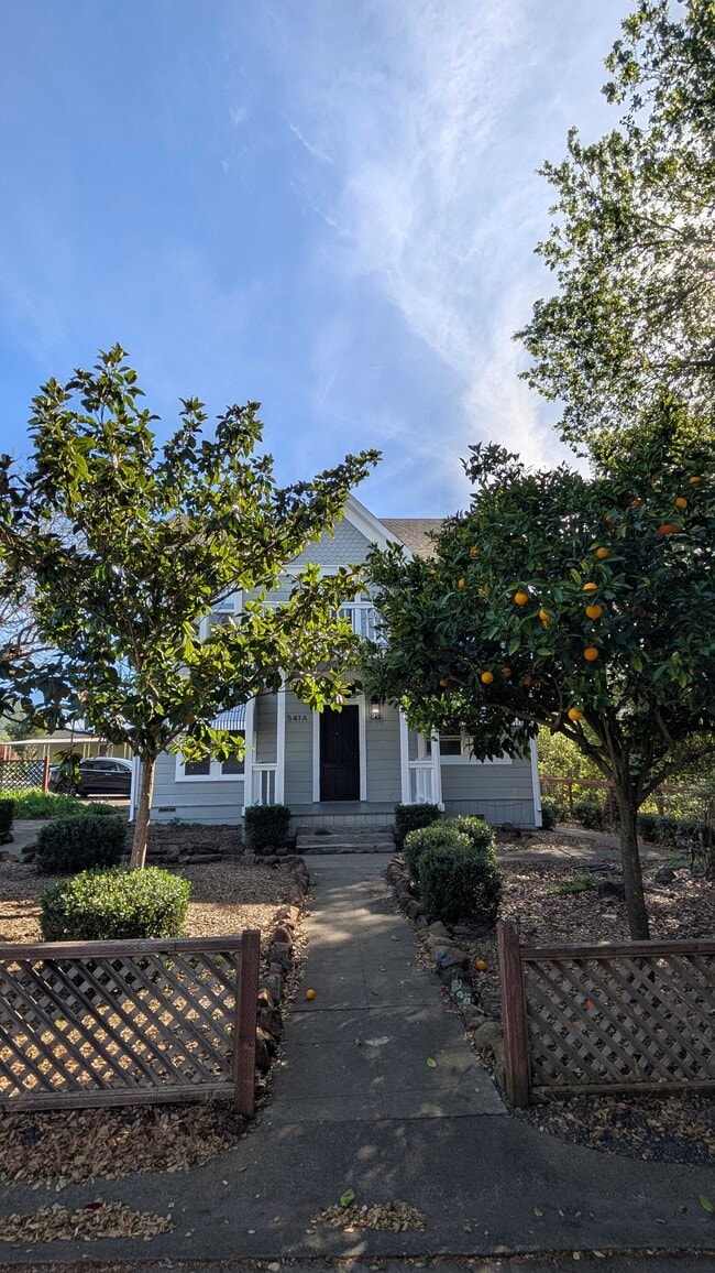 Building Photo - 541 Mason St