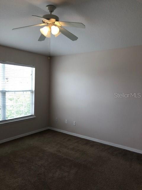 10923 Derringer Dr