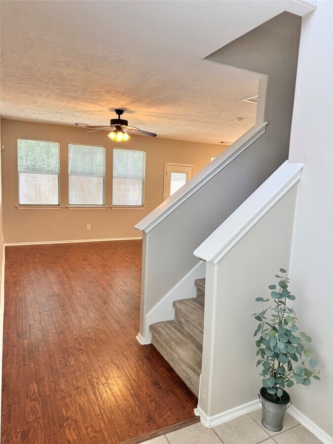 Photo - 234 W Stedhill Loop