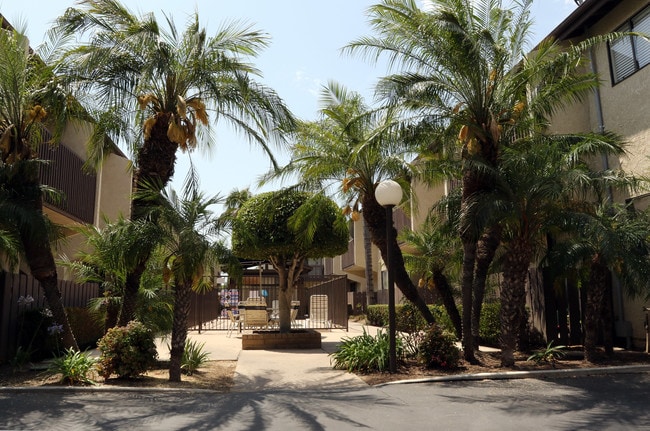 Photo - La Palma Terrace