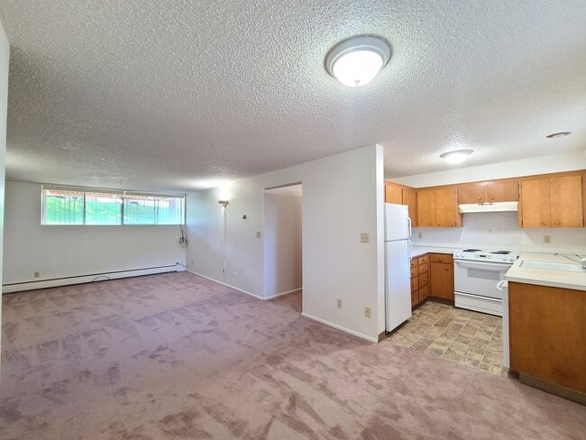 Photo - $1,050 - 1 Bed / 1 Bath Spacious Condo in South Hill