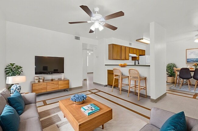 Photo - Homeward Bound