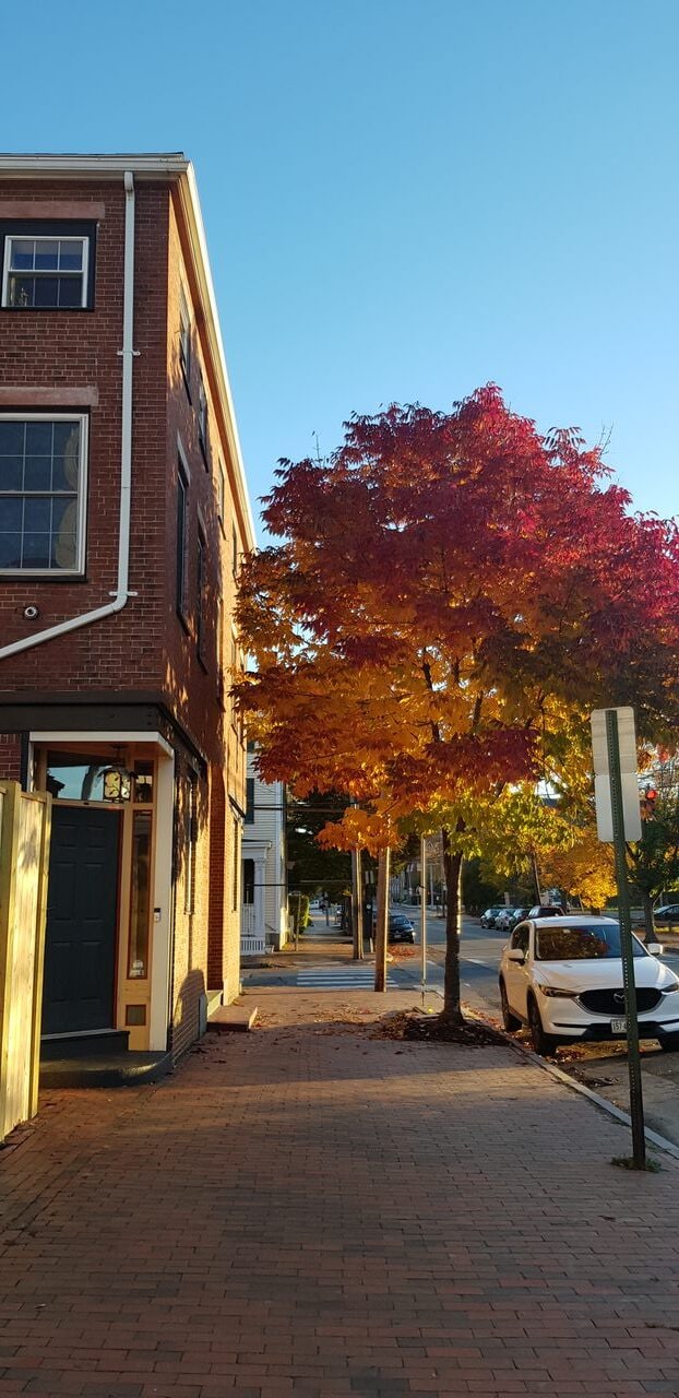 Building Photo - 241 Cumberland Ave Unit Sunny Furnished Downtown