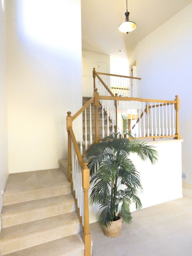 Photo - 5 Bedroom Single Family Home