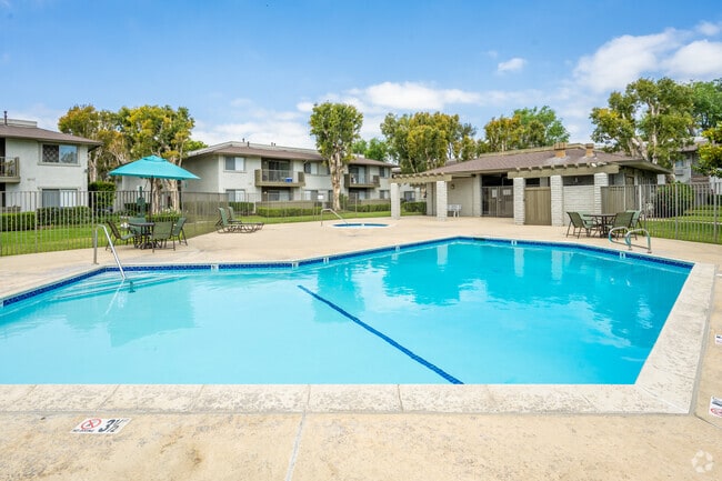 Pool and Spa