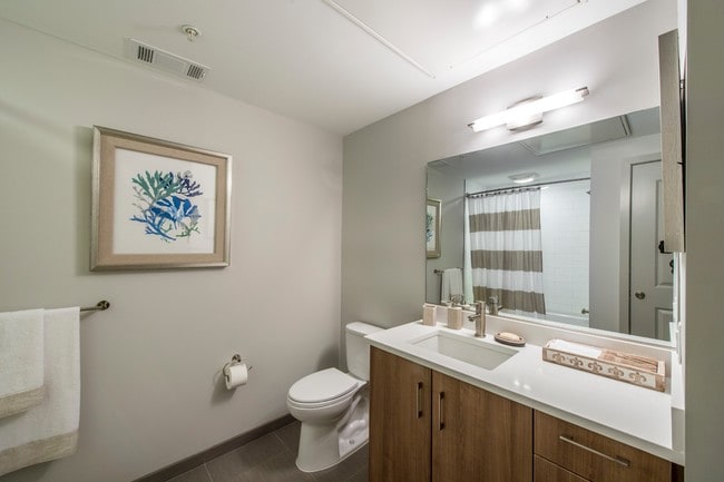 45 Marion St Unit 312