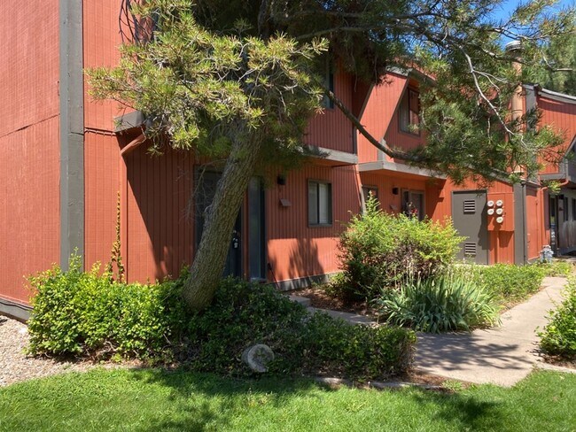 Photo - 1625 W Elizabeth St Unidad I-4