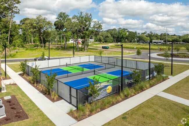 Canchas de pickleball - Preserve at Hanover Park Apartments