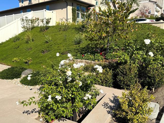 Photo - 911 Lindbergh Dr