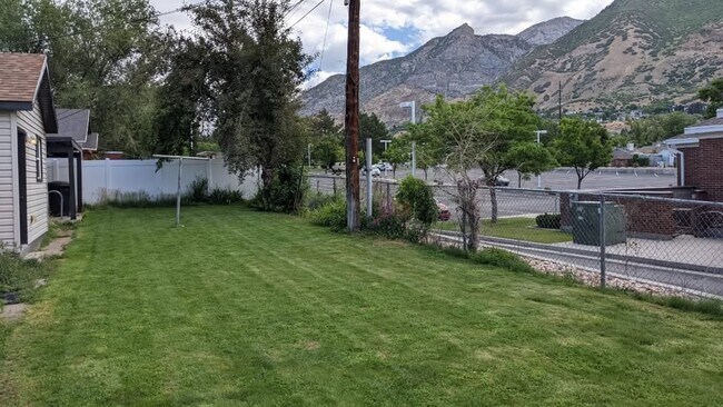 Back Yard