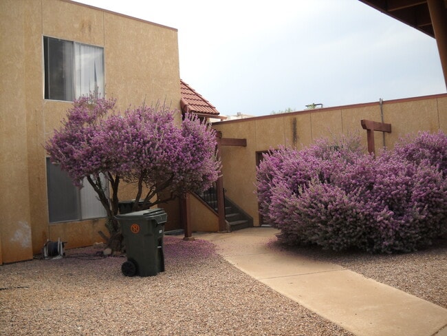 Photo - 2BR/1BA 827 sq.ft. rental in Sierra Vista, AZ