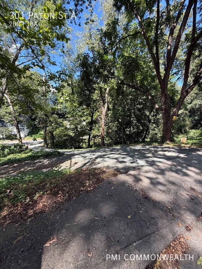 Photo - 301 Paton St