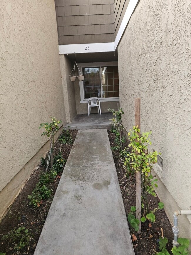 Photo - 25 Weepingwood