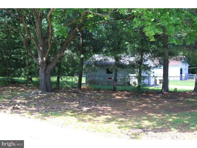 Photo - 217 Laurel Ave