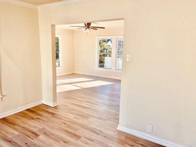 Photo - 1214 Des Jardines St