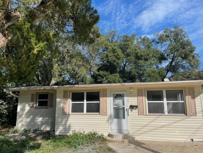 305 Hopkins Ave