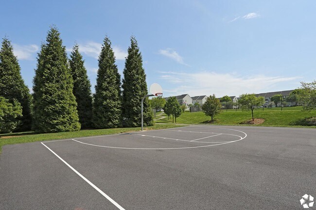 Cancha de básquetbol